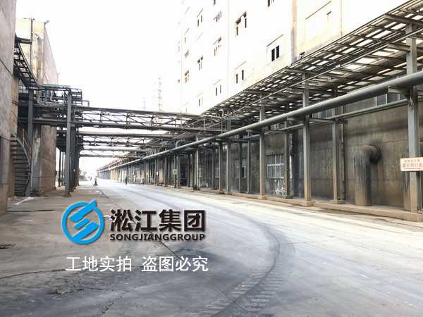內襯四氟異徑橡膠接頭在金星鈦白化工廠使用情況